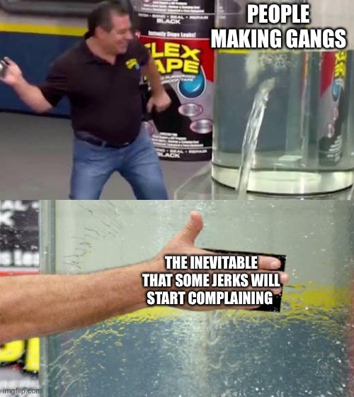 Welp | PEOPLE MAKING GANGS; THE INEVITABLE THAT SOME JERKS WILL START COMPLAINING | image tagged in flex tape | made w/ Imgflip meme maker