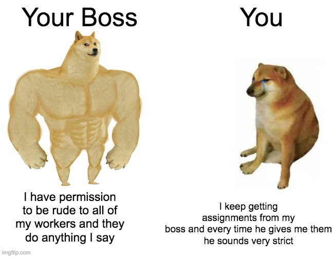 Your Boss compared to You | Your Boss; You; I have permission
to be rude to all of
my workers and they
do anything I say; I keep getting assignments from my
boss and every time he gives me them
he sounds very strict | image tagged in memes,buff doge vs cheems | made w/ Imgflip meme maker
