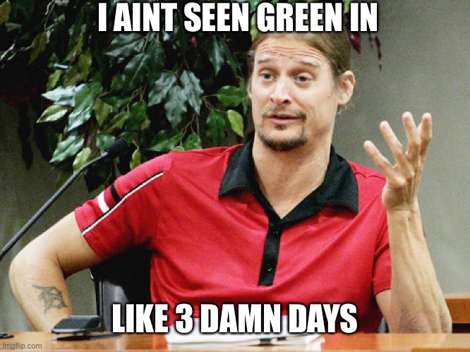 Kid Rock | I AINT SEEN GREEN IN; LIKE 3 DAMN DAYS | image tagged in kid rock | made w/ Imgflip meme maker