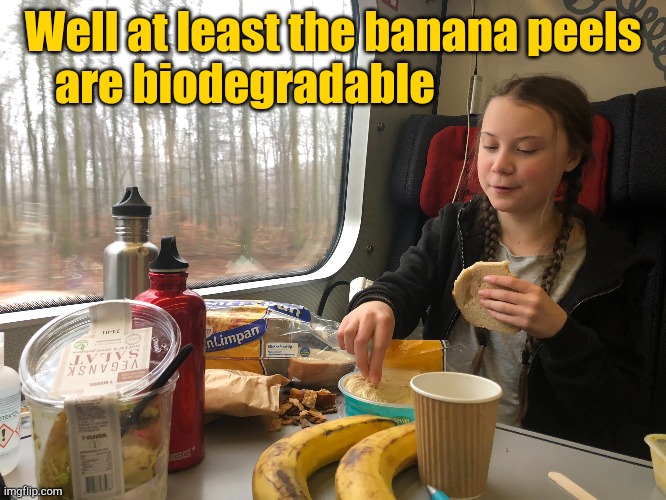 Well at least the banana peels are biodegradable | made w/ Imgflip meme maker