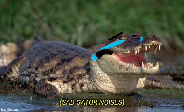 Alligator | (SAD GATOR NOISES) | image tagged in alligator | made w/ Imgflip meme maker