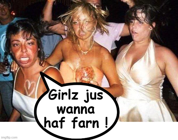 Girlz jus wanna haf fun ! | Girlz jus     
wanna     
haf farn ! | image tagged in party hard | made w/ Imgflip meme maker