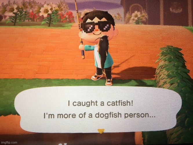 Holy shit I caught  catfish gaming | made w/ Imgflip meme maker