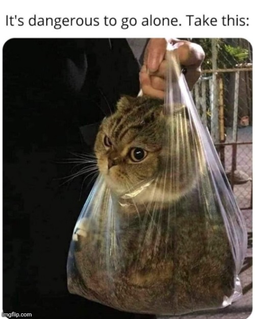 image tagged in funny memes | made w/ Imgflip meme maker