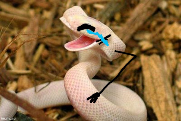 Happy Snake | image tagged in happy snake | made w/ Imgflip meme maker