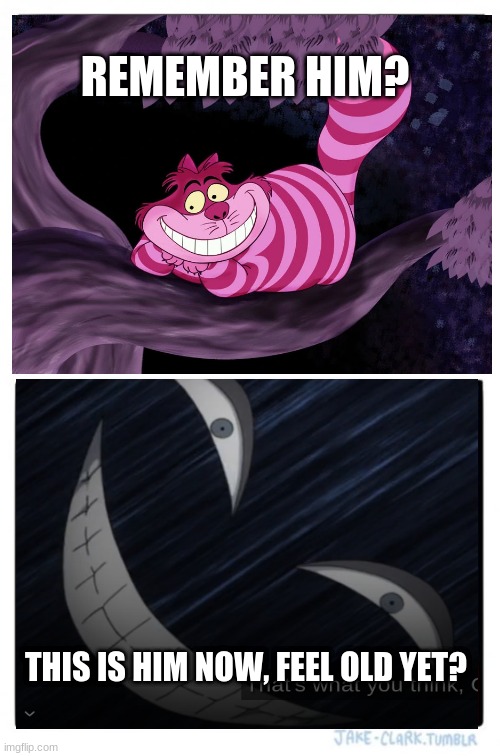 Cheshire Cat/Shihai Kuroiro (BNHA or MHA) | REMEMBER HIM? THIS IS HIM NOW, FEEL OLD YET? | image tagged in memes,mha | made w/ Imgflip meme maker
