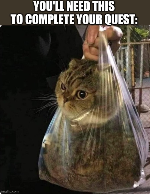 YOU'LL NEED THIS TO COMPLETE YOUR QUEST: | image tagged in funny memes | made w/ Imgflip meme maker