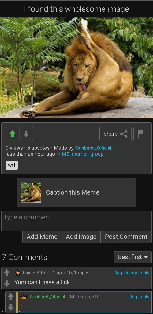 made w/ Imgflip meme maker