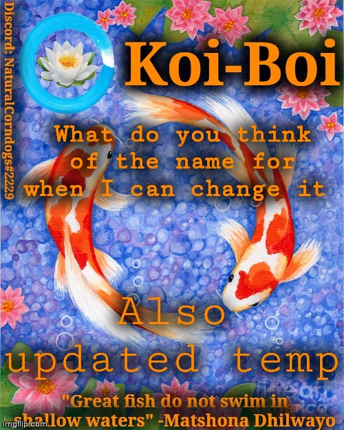 New name? | What do you think of the name for when I can change it; Also updated temp | image tagged in koi-boi's fish template | made w/ Imgflip meme maker