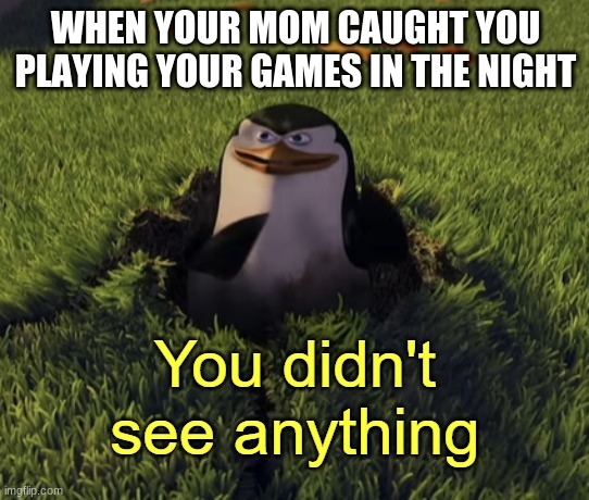 true | WHEN YOUR MOM CAUGHT YOU PLAYING YOUR GAMES IN THE NIGHT | image tagged in you didn't see anything,gaming,mom caught you,true | made w/ Imgflip meme maker