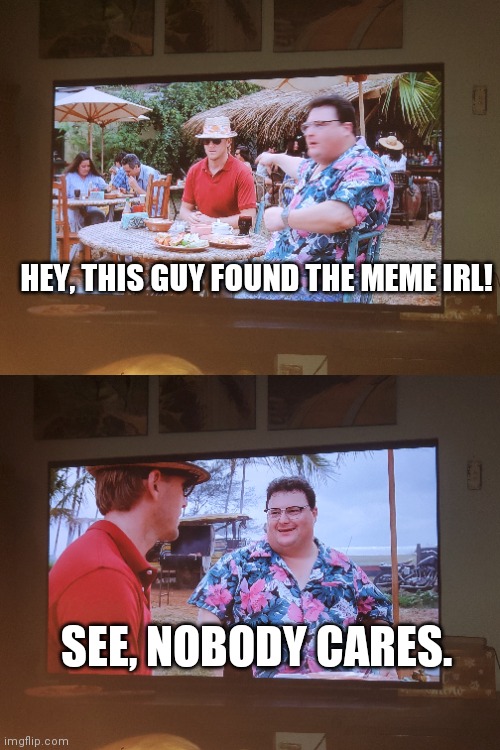 Jurassic Park 1 if your curious | HEY, THIS GUY FOUND THE MEME IRL! SEE, NOBODY CARES. | image tagged in irl,meme found | made w/ Imgflip meme maker
