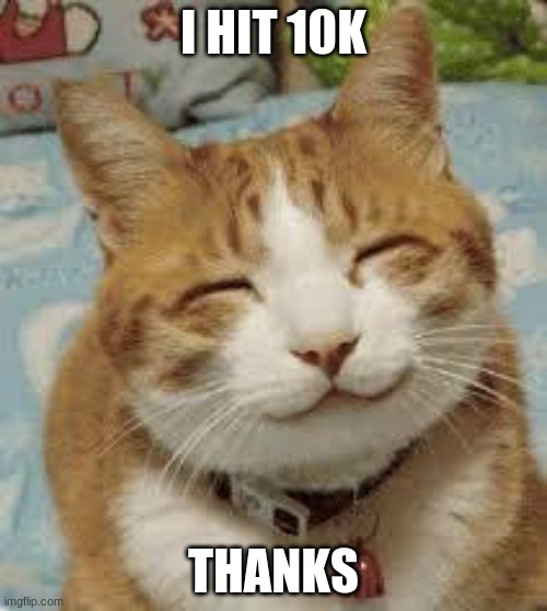 Happy cat | I HIT 10K; THANKS | image tagged in happy cat | made w/ Imgflip meme maker
