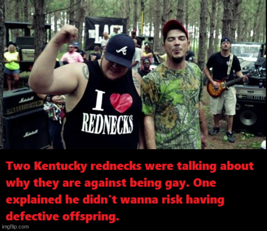 Gay rednecks. | image tagged in you might be a redneck if | made w/ Imgflip meme maker