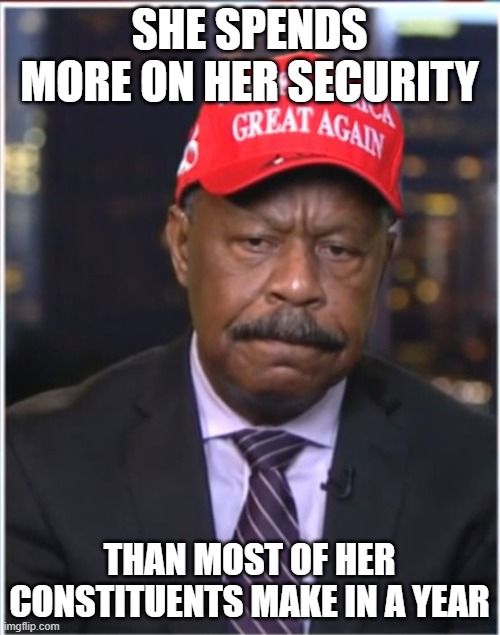 Leo Terrell | SHE SPENDS MORE ON HER SECURITY THAN MOST OF HER CONSTITUENTS MAKE IN A YEAR | image tagged in leo terrell | made w/ Imgflip meme maker