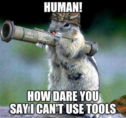 human I do use tools |  HUMAN! HOW DARE YOU SAY I CAN'T USE TOOLS | image tagged in memes,bazooka squirrel | made w/ Imgflip meme maker