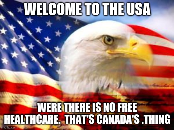 American Flag | WELCOME TO THE USA; WERE THERE IS NO FREE HEALTHCARE.  THAT'S CANADA'S .THING | image tagged in american flag | made w/ Imgflip meme maker