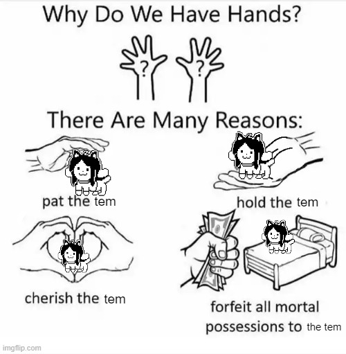 temmie is best | tem; tem; tem; the tem | image tagged in why do we have hands all blank | made w/ Imgflip meme maker