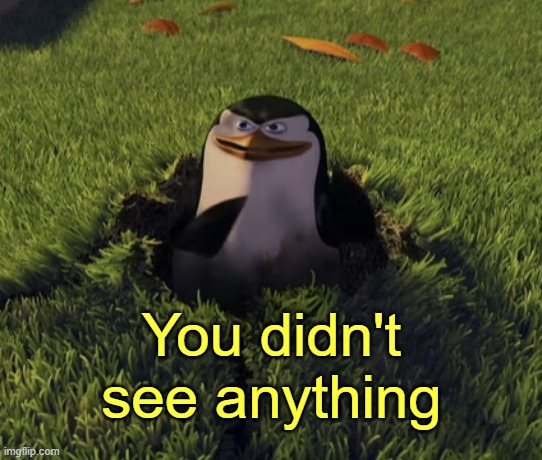 You didn't see anything | image tagged in you didn't see anything | made w/ Imgflip meme maker
