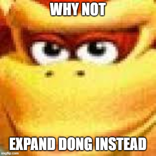 Expand Dong | WHY NOT EXPAND DONG INSTEAD | image tagged in expand dong | made w/ Imgflip meme maker