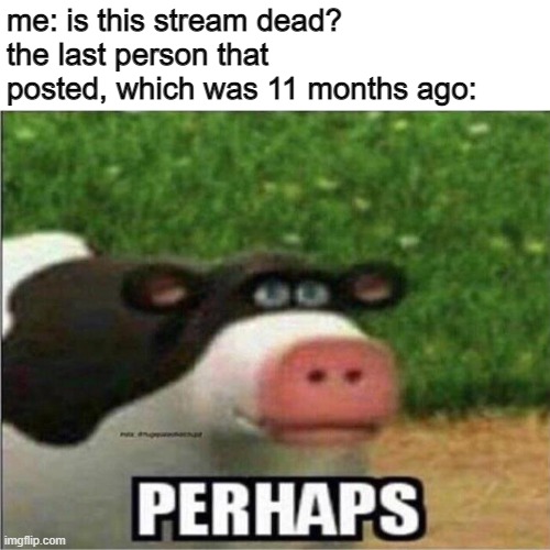 its been 11 months. this stream okay? | me: is this stream dead?
the last person that posted, which was 11 months ago: | image tagged in perhaps cow | made w/ Imgflip meme maker