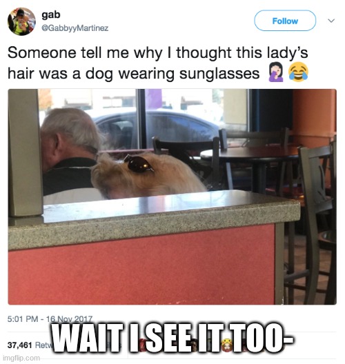 WAIT I SEE IT TOO- | made w/ Imgflip meme maker