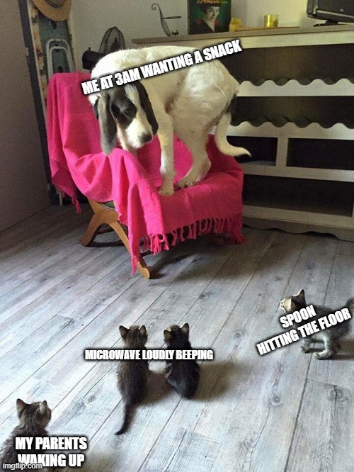 dog scared of cats | ME AT 3AM WANTING A SNACK; SPOON HITTING THE FLOOR; MICROWAVE LOUDLY BEEPING; MY PARENTS WAKING UP | image tagged in dog,cats,scared,snack,memes | made w/ Imgflip meme maker