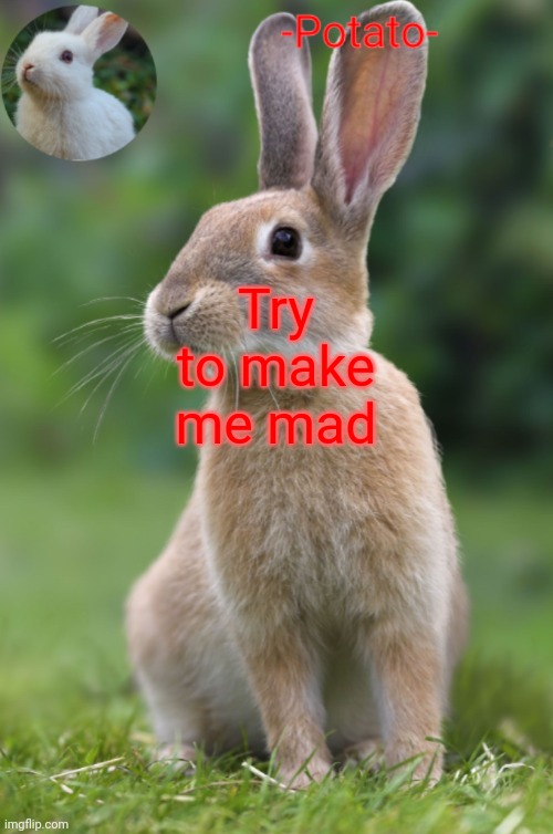 E | Try to make me mad | image tagged in -potato- rabbit announcement | made w/ Imgflip meme maker