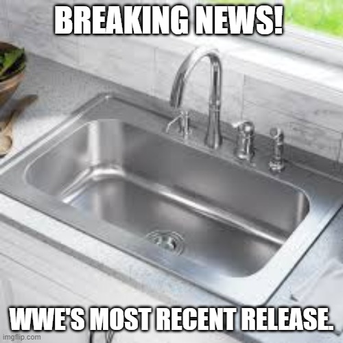 OOF! | BREAKING NEWS! WWE'S MOST RECENT RELEASE. | image tagged in wwe,kitchen sink | made w/ Imgflip meme maker