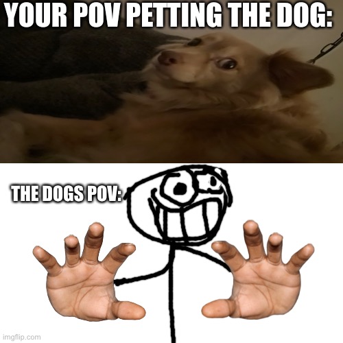 (Funny title) | YOUR POV PETTING THE DOG:; THE DOGS POV: | image tagged in memes,blank transparent square | made w/ Imgflip meme maker