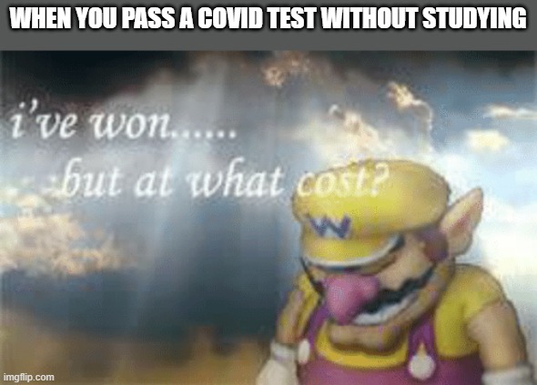 I've won but at what cost? | WHEN YOU PASS A COVID TEST WITHOUT STUDYING | image tagged in i've won but at what cost,memes,coronavirus | made w/ Imgflip meme maker