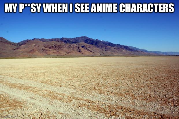 Anime is ugly | MY P**SY WHEN I SEE ANIME CHARACTERS | image tagged in desert large dry | made w/ Imgflip meme maker