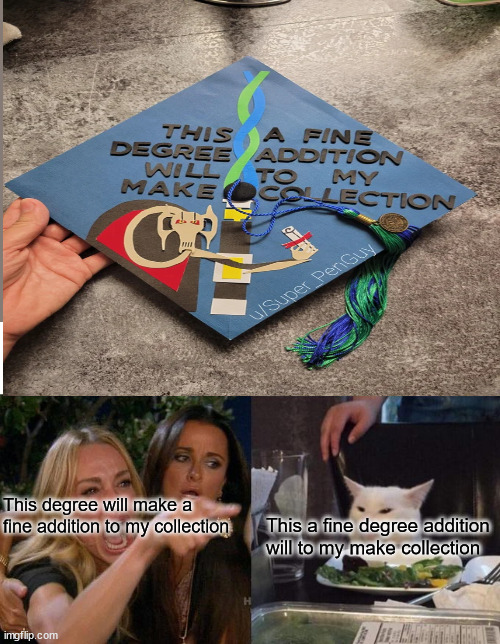 reddit | This degree will make a fine addition to my collection; This a fine degree addition will to my make collection | image tagged in memes,woman yelling at cat | made w/ Imgflip meme maker