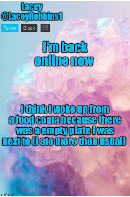 But At Least It Was Pizza | I'm back online now; I think I woke up from a food coma because there was a empty plate I was next to (I ate more than usual) | image tagged in lacey announcement template | made w/ Imgflip meme maker