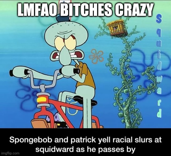 Spongebob and Patrick yell racial slurs at squidward | LMFAO BITCHES CRAZY | image tagged in spongebob and patrick yell racial slurs at squidward | made w/ Imgflip meme maker