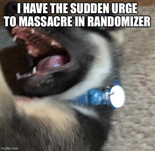 (Roblox) | I HAVE THE SUDDEN URGE TO MASSACRE IN RANDOMIZER | image tagged in angy doggo | made w/ Imgflip meme maker