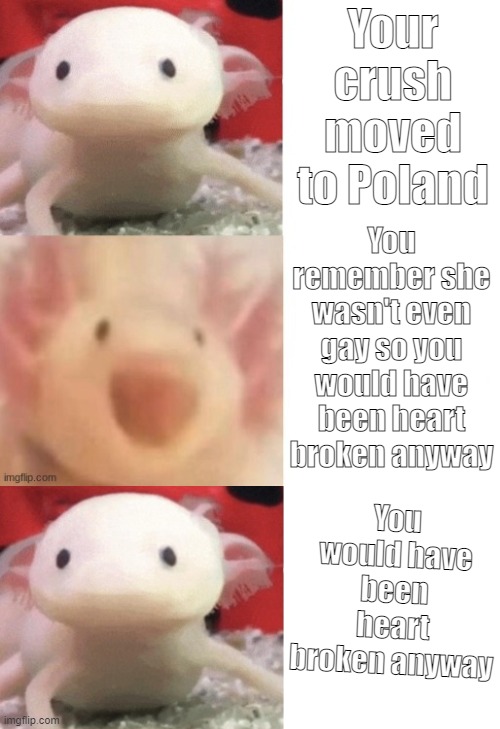 why am I still depressed about this | Your crush moved to Poland; You remember she wasn't even gay so you would have been heart broken anyway; You would have been heart broken anyway | image tagged in axolotl,heartbreak,crush,poland | made w/ Imgflip meme maker