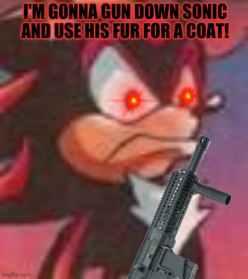 Shadow needs a new coat | I'M GONNA GUN DOWN SONIC AND USE HIS FUR FOR A COAT! | image tagged in shadow the hedgehog,murder,get the gun,sonic the hedgehog | made w/ Imgflip meme maker