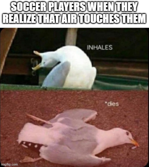 inhales dies bird | SOCCER PLAYERS WHEN THEY REALIZE THAT AIR TOUCHES THEM | image tagged in inhales dies bird | made w/ Imgflip meme maker