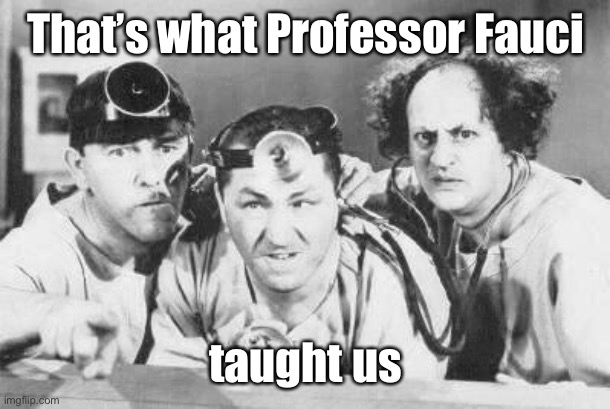 Doctor Stooges | That’s what Professor Fauci taught us | image tagged in doctor stooges | made w/ Imgflip meme maker