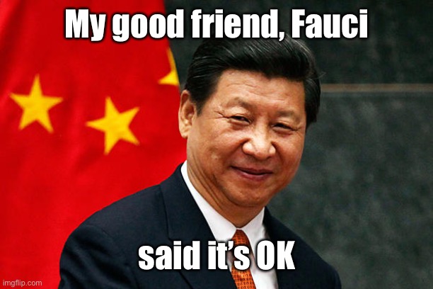 Xi Jinping | My good friend, Fauci said it’s OK | image tagged in xi jinping | made w/ Imgflip meme maker