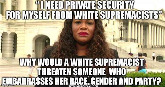 How to make ignorant white supremacists look intelligent | “ I NEED PRIVATE SECURITY FOR MYSELF FROM WHITE SUPREMACISTS”; WHY WOULD A WHITE SUPREMACIST THREATEN SOMEONE  WHO EMBARRASSES HER RACE, GENDER AND PARTY? | image tagged in democrats,police,bush,congress | made w/ Imgflip meme maker
