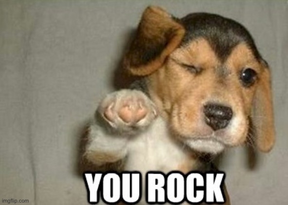 you rock | image tagged in you rock | made w/ Imgflip meme maker