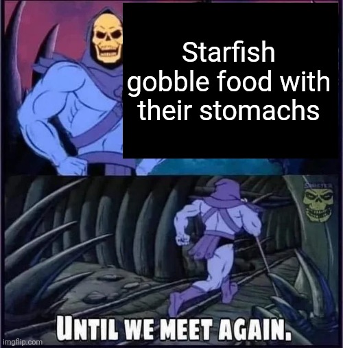 Lol | Starfish gobble food with their stomachs | image tagged in until we meet again | made w/ Imgflip meme maker