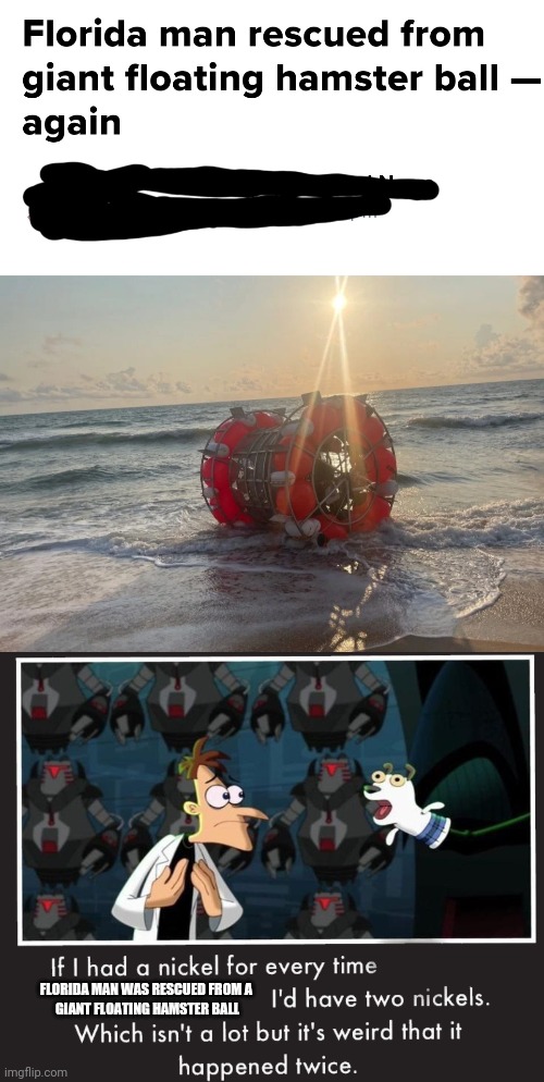  FLORIDA MAN WAS RESCUED FROM A 
GIANT FLOATING HAMSTER BALL | image tagged in doof if i had a nickel | made w/ Imgflip meme maker