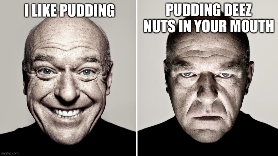funny | PUDDING DEEZ NUTS IN YOUR MOUTH; I LIKE PUDDING | image tagged in dean norris's reaction | made w/ Imgflip meme maker