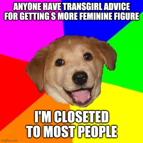 Advice Dog | ANYONE HAVE TRANSGIRL ADVICE FOR GETTING S MORE FEMININE FIGURE; I'M CLOSETED TO MOST PEOPLE | image tagged in memes,advice dog | made w/ Imgflip meme maker