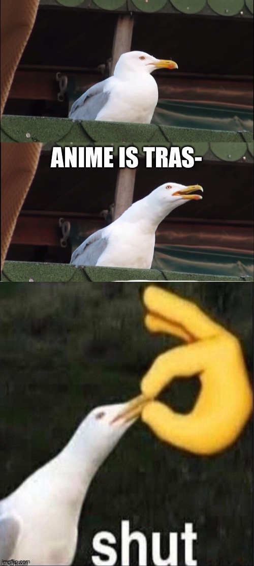 SHUT | ANIME IS TRAS- | image tagged in shut,inhaling seagull,seagull | made w/ Imgflip meme maker