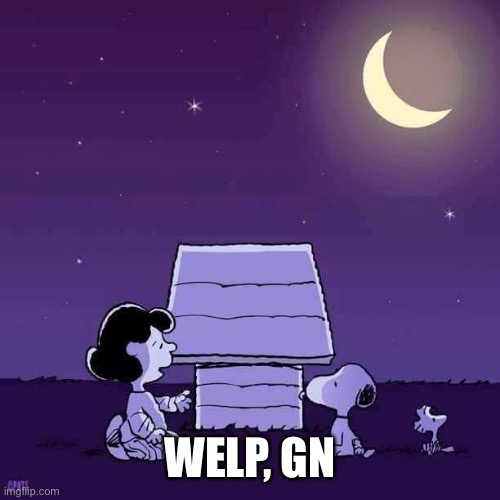 Good night  | WELP, GN | image tagged in good night | made w/ Imgflip meme maker