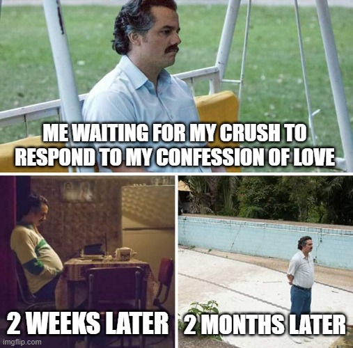 I seriously think she left the damn country | ME WAITING FOR MY CRUSH TO RESPOND TO MY CONFESSION OF LOVE; 2 WEEKS LATER; 2 MONTHS LATER | image tagged in memes,sad pablo escobar | made w/ Imgflip meme maker