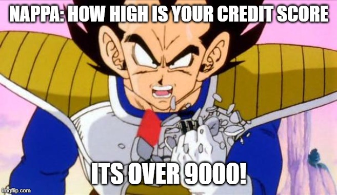 It's over 9000 | NAPPA: HOW HIGH IS YOUR CREDIT SCORE; ITS OVER 9000! | image tagged in it's over 9000 | made w/ Imgflip meme maker